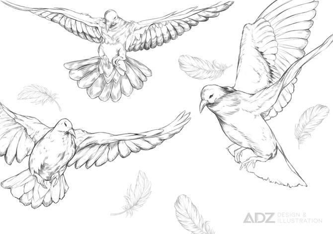 Doves & Feathers Sketch